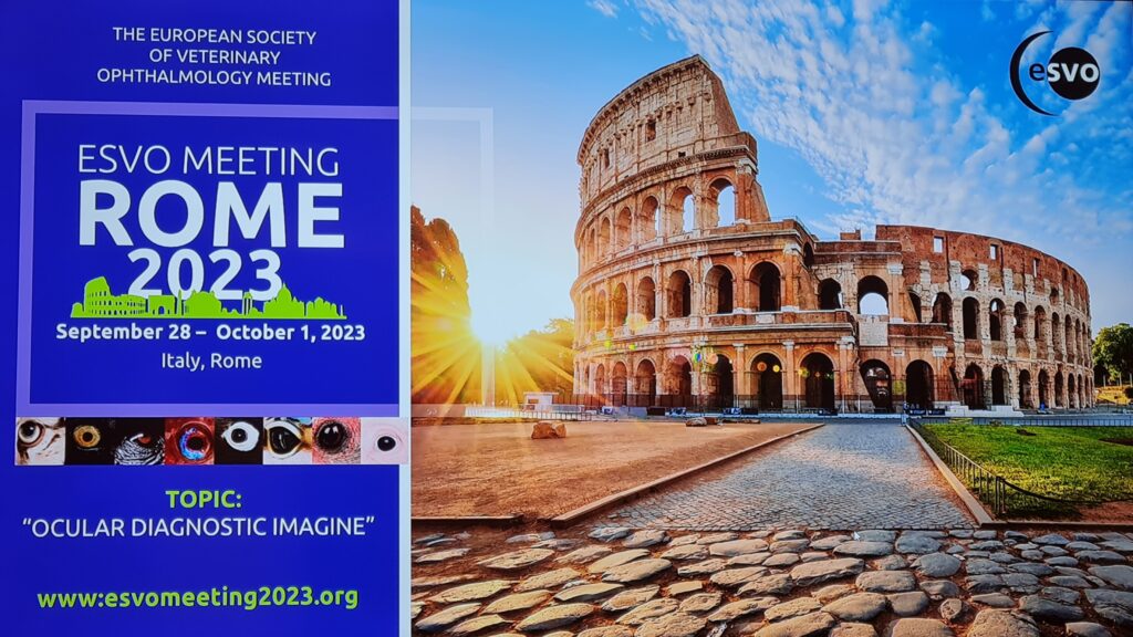 Рим (Італія) щорічна, офтальмологічна ветеринарна конференція ESVO Meeting Rome 2023. Організатор Европейська Спілка Ветеринарних Офтальмологів (European Society of Veterinary Ophthalmology Meeting)